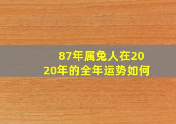 87年属兔人在2020年的全年运势如何