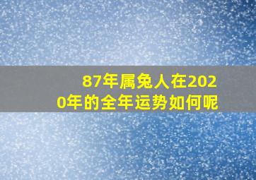 87年属兔人在2020年的全年运势如何呢