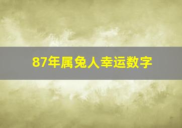 87年属兔人幸运数字