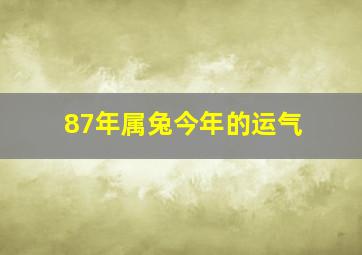 87年属兔今年的运气