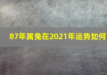 87年属兔在2021年运势如何