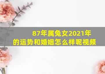 87年属兔女2021年的运势和婚姻怎么样呢视频