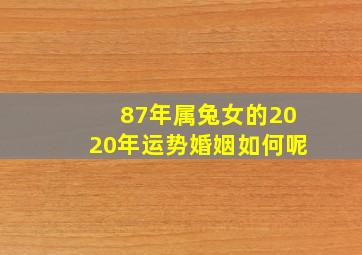 87年属兔女的2020年运势婚姻如何呢