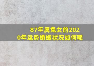 87年属兔女的2020年运势婚姻状况如何呢