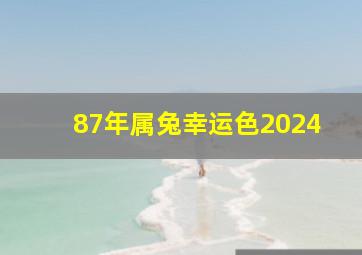 87年属兔幸运色2024