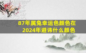 87年属兔幸运色颜色在2024年避讳什么颜色