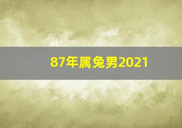 87年属兔男2021