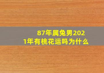 87年属兔男2021年有桃花运吗为什么