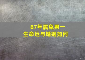 87年属兔男一生命运与婚姻如何