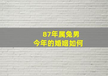 87年属兔男今年的婚姻如何