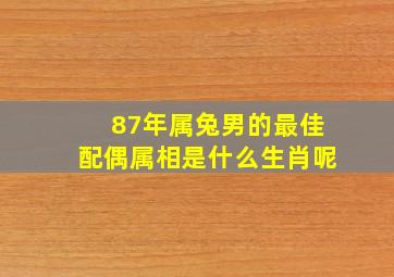 87年属兔男的最佳配偶属相是什么生肖呢