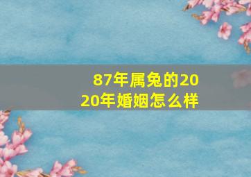 87年属兔的2020年婚姻怎么样