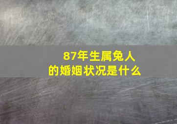 87年生属兔人的婚姻状况是什么