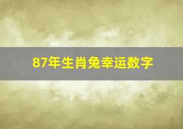 87年生肖兔幸运数字