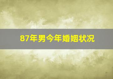 87年男今年婚姻状况