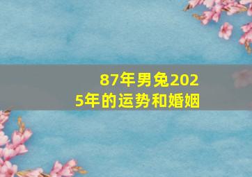 87年男兔2025年的运势和婚姻