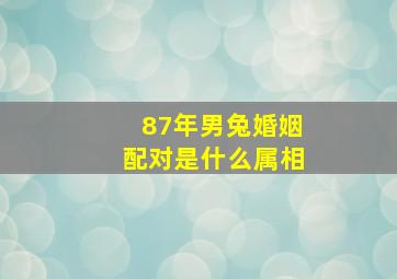 87年男兔婚姻配对是什么属相