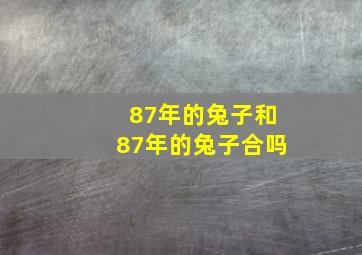 87年的兔子和87年的兔子合吗