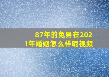 87年的兔男在2021年婚姻怎么样呢视频