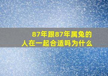 87年跟87年属兔的人在一起合适吗为什么