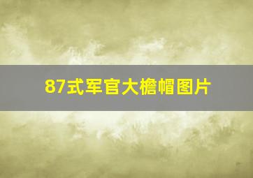 87式军官大檐帽图片