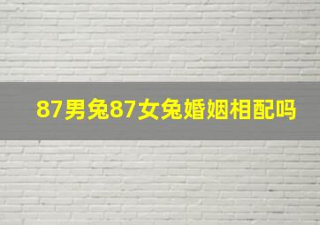 87男兔87女兔婚姻相配吗