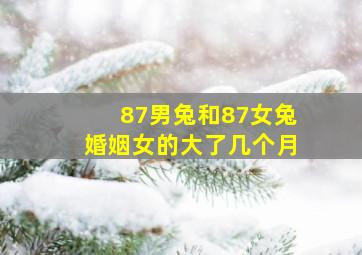 87男兔和87女兔婚姻女的大了几个月