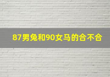 87男兔和90女马的合不合