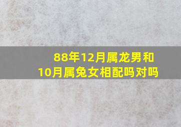 88年12月属龙男和10月属兔女相配吗对吗