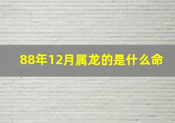 88年12月属龙的是什么命