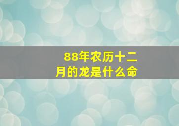 88年农历十二月的龙是什么命