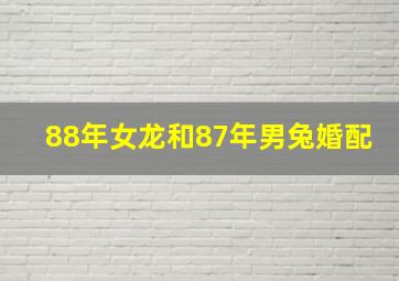 88年女龙和87年男兔婚配