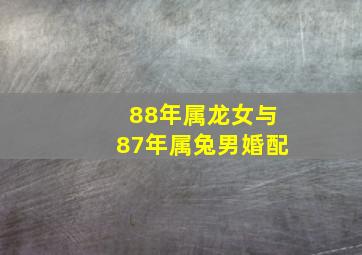 88年属龙女与87年属兔男婚配