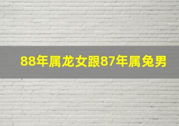 88年属龙女跟87年属兔男