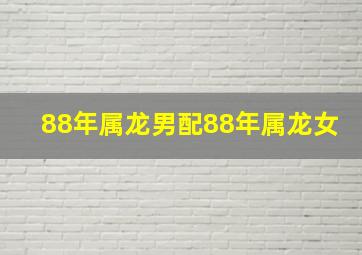 88年属龙男配88年属龙女