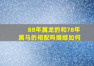 88年属龙的和78年属马的相配吗婚姻如何