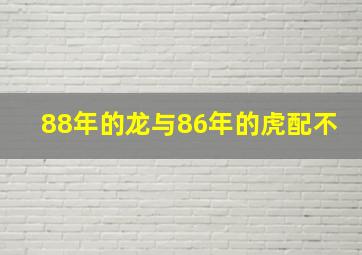 88年的龙与86年的虎配不