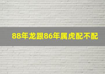 88年龙跟86年属虎配不配