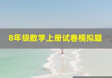 8年级数学上册试卷模拟题