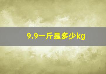 9.9一斤是多少kg