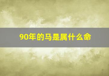 90年的马是属什么命