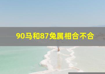 90马和87兔属相合不合