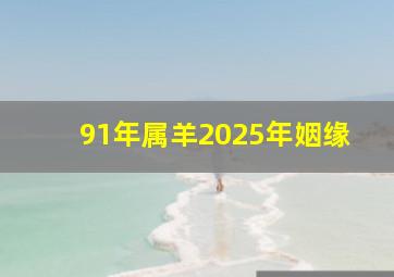 91年属羊2025年姻缘