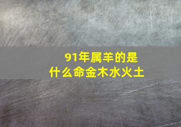 91年属羊的是什么命金木水火土