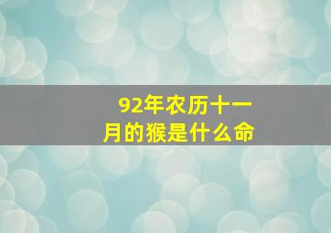 92年农历十一月的猴是什么命