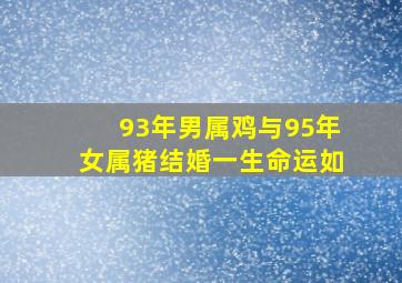 93年男属鸡与95年女属猪结婚一生命运如