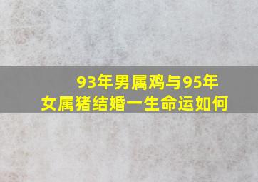 93年男属鸡与95年女属猪结婚一生命运如何