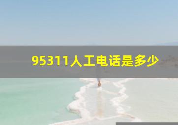 95311人工电话是多少