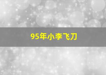 95年小李飞刀