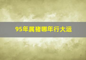 95年属猪哪年行大运